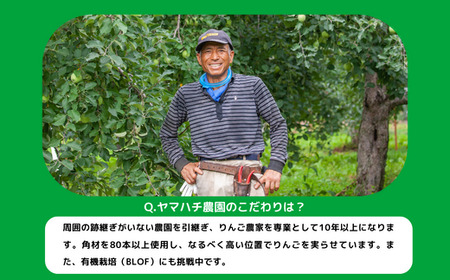 りんご 王林 家庭用 5kg ヤマハチ農園 沖縄県への配送不可 2026年11月中旬頃から2026年11月下旬頃まで順次発送予定 令和8年度収穫分 BLOF理論栽培 信州 果物 フルーツ リンゴ 林檎