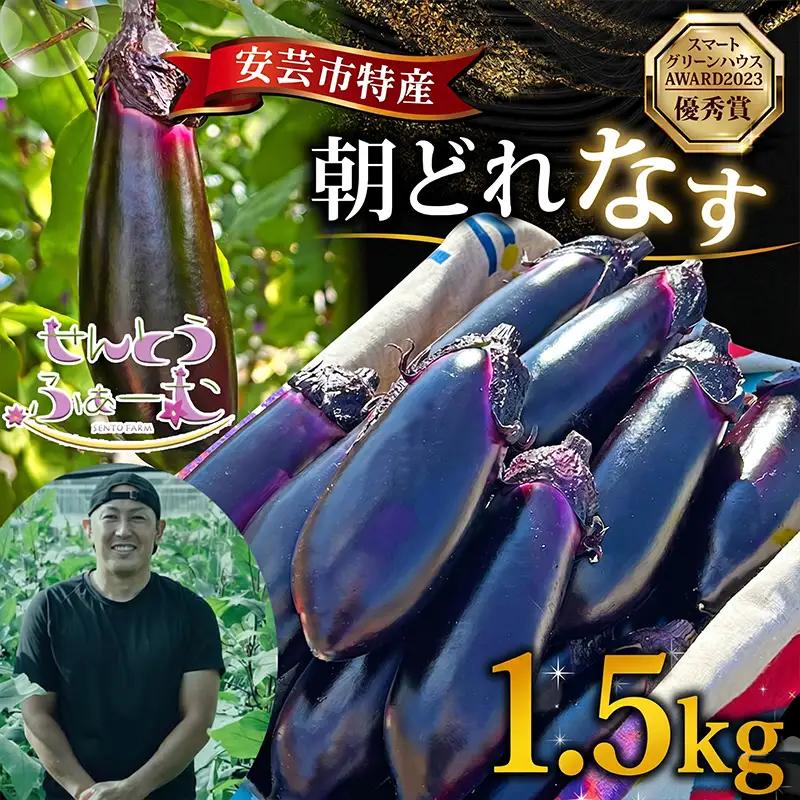 朝採れナス 約1.5kg 高知県安芸市｜ナス