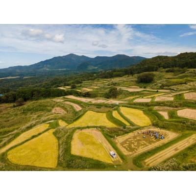 ふるさと納税 上越市 【毎月定期便】〈無洗米〉食味鑑定士厳選 上越産こしひかり[5kg×3袋]全3回 |  | 01