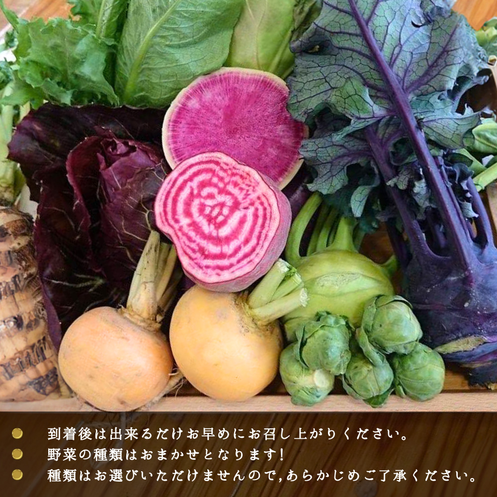 年間定期便12回 バーニャカウダ野菜セットレギュラー 12品 【有機野菜 おまかせ野菜セット イタリア野菜 西洋野菜 定期便】(H078143)