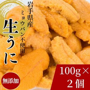 天然生うに100g×2パック岩手県産　ミョウバン不使用【配送不可地域：離島・沖縄県・九州】【1625393】