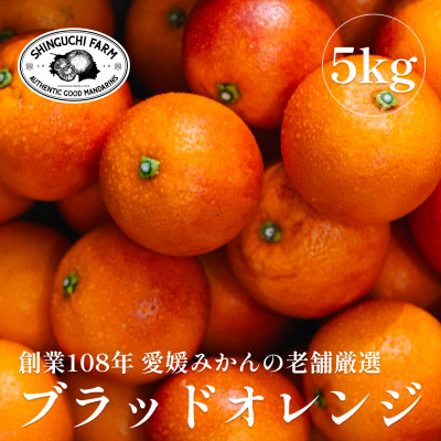 
            創業百八年 愛媛みかんの老舗＜ブラッドオレンジ 5kg＞新口農園＜C70-18＞【1470701】
          