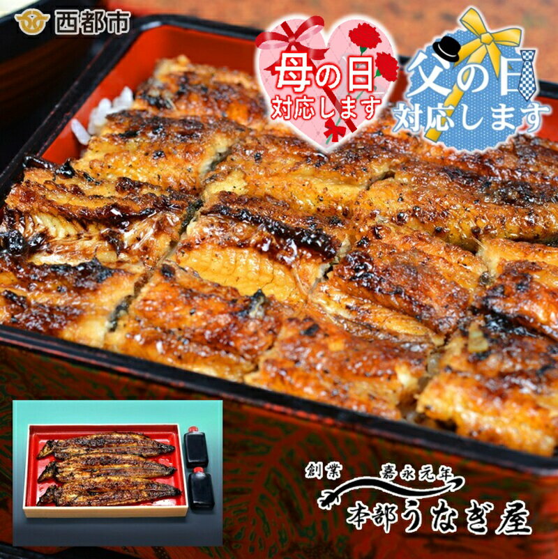 【ふるさと納税】西都市 本部うなぎ屋 鰻の蒲焼（3尾） 国産 うなぎ 手焼き 真空パック 小分け 送料無料 宮崎県 西都市＜12-2a＞「西都市ピカイチ認証品」「母の日ギフト対応品」