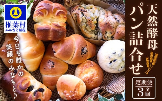 《3ヶ月定期便》【秘境・椎葉村の愛されパン屋さん】天然酵母パン 詰め合わせ 7種10個セット 【送料無料 パン 冷凍 お取り寄せ 3ヶ月 定期便 天然 酵母 詰め合せ セット 低温 長時間熟成 メロンパン あん塩 バターロール おさつ ブレッド デニッシュ ミニ食パン レーズン バターロール マヨ 朝食 手土産 手作り】【NF-27】