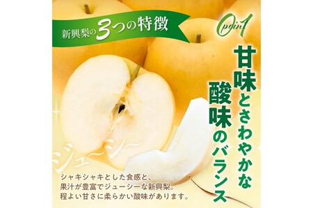 【先行予約／数量限定30】新興梨 秀品 5kg（8～12玉入り）（2024年10月中旬～発送） 果物 フルーツ 梨 なし 農家直送 京都産 新興梨 果汁 数量限定 先行予約 人気