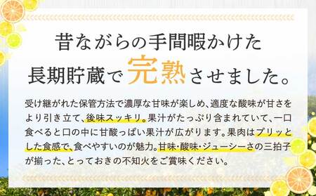先行予約 不知火 約3kg（7～12玉前後）2026年3月上旬～2026年4月上旬頃発送予定