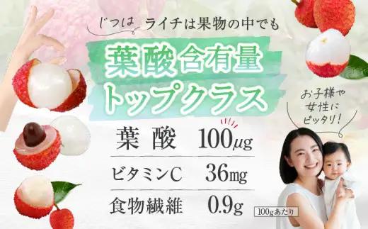 【先行予約/数量限定】希少 国産 綾生ライチ（化粧箱入り） 宮崎県 綾町産 ライチ 贈答 ギフト プレゼント 国産ライチ 果物 フルーツ 生ライチ 産地直送 期間限定 送料無料 お中元【JA綾町】_A