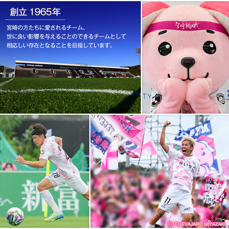 テゲバジャーロ宮崎×新富町 コラボ トイレットペーパー（ソフトロング）計60ロール 芯あり シングル 長持ち 日用品【B712】_イメージ4