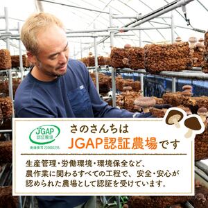 しいたけパウダー 45g 6袋 しいたけ