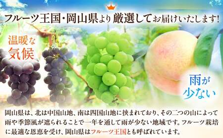 白桃&シャインマスカット（晴王）セット 大【配送不可地域あり】《7月上旬-8月中旬頃出荷》