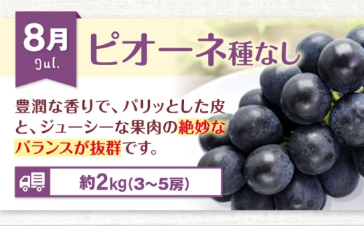 【全6回定期便】【先行予約】フルーツ定期便 2027年1～8月発送 愛媛県大洲市/沢井青果有限会社 [AGBN052] フルーツ定期便  果物セット 食べ比べ 果物 定期便 果物定期便 旬 季節 苺 キウイ みかん ピオーネ スイカ レモン 柑橘 定期便 6回 人気 大洲市