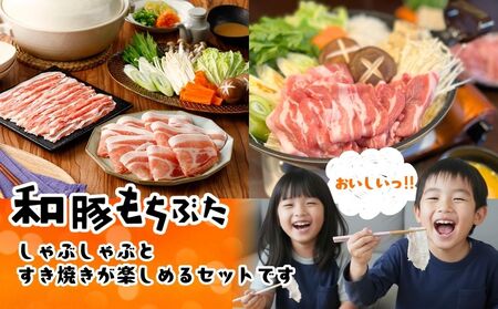 和豚もちぶたすき焼きとしゃぶしゃぶセット1.8kｇ