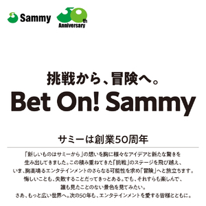 【数量限定】超ディスクアップ2(品川区専用デザイン)