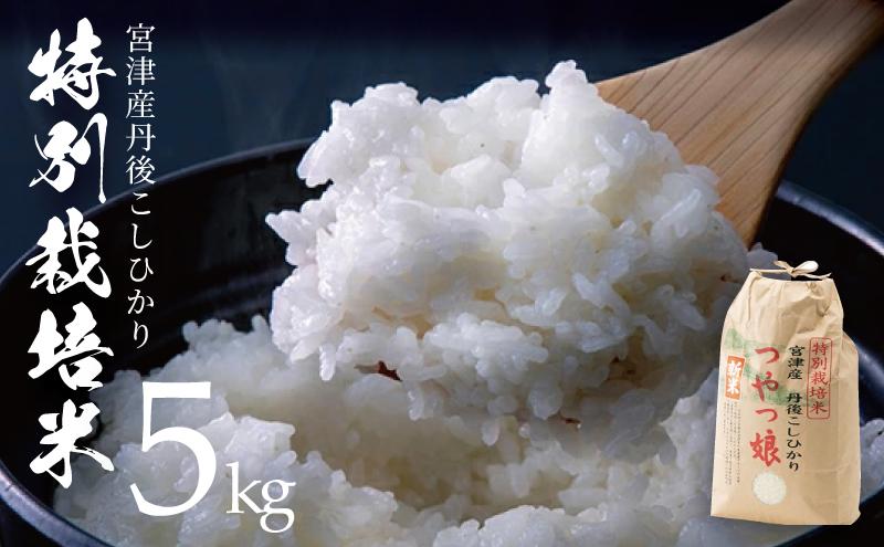 【令和7年産】【産地直送】特別栽培米 宮津産丹後コシヒカリ「つやっ娘」5kg 〈2025年10月以降順次発送〉 お米