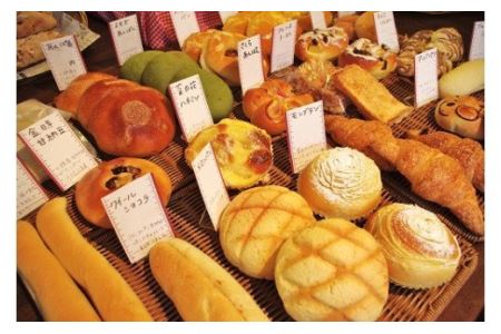 【定期便】こだわりの石窯で焼いたカンスケの北海道産小麦お任せパンセット（年12回お届け）【19119】