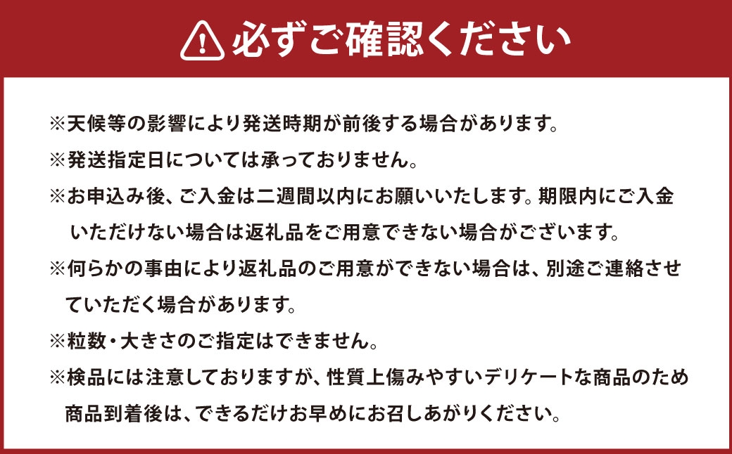 クインニーナ約2kg箱（3〜5房）