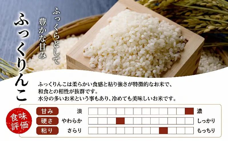 米 ふっくりんこ 精米 白米 令和7年産 10kg お米