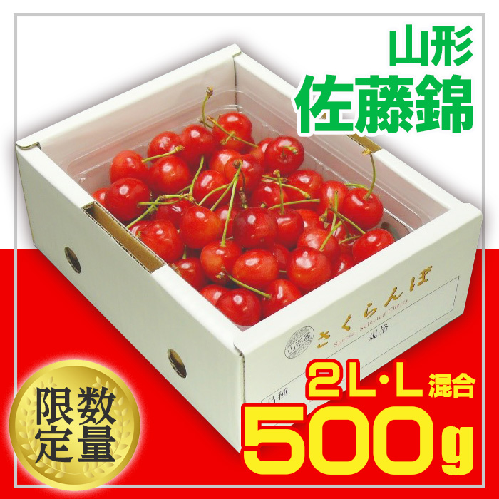 ★旬大粒★山形さくらんぼ 佐藤錦 500g ☆500g2L・L混合サイズバラ詰 【令和7年産先行予約】FU20-064