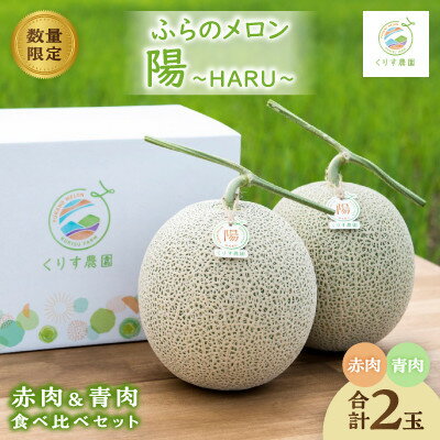 【ふるさと納税】【2025年発送】ふらのメロン「陽 ～HARU～」赤肉&青肉 食べ比べセット(各1玉合計4kg以上)【1576581】