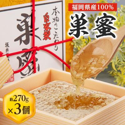 ふるさと納税 大牟田市 国産巣蜜(コムハニー)3個セット