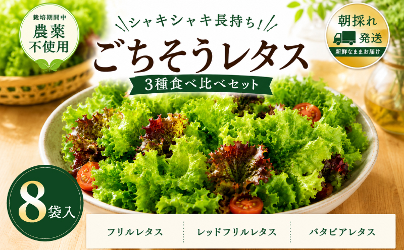 【朝採れ発送】ごちそうレタス 3種食べ比べセット（8袋・栽培期間中農薬不使用）【大阪 泉佐野 大阪府 泉佐野市】