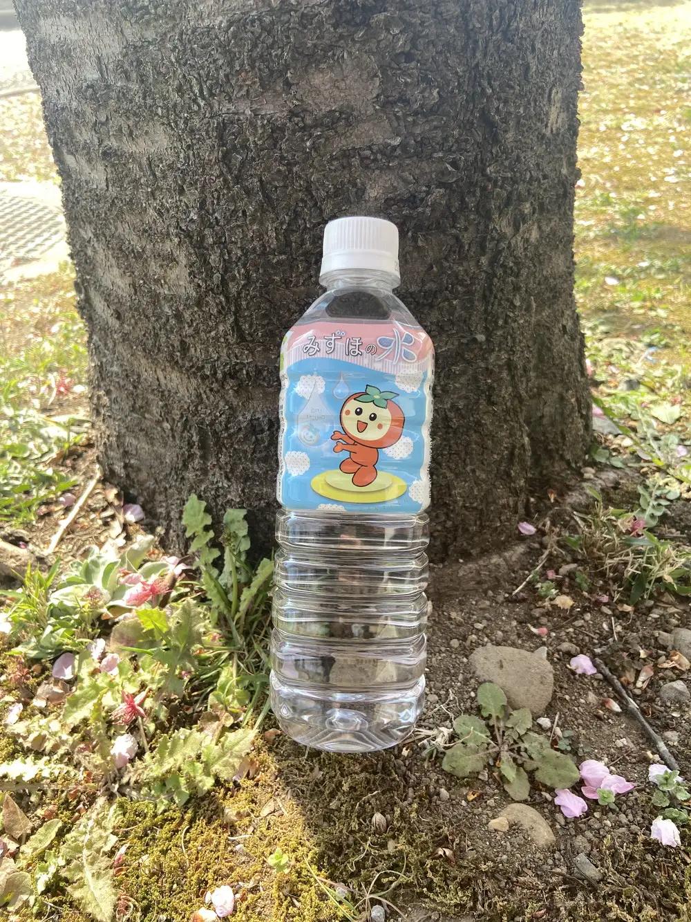 みずほの水 | 水  防災 備蓄 人気 ペットボトル 10000円 国産 長期保存 飲料水 アウトドア キャンプ