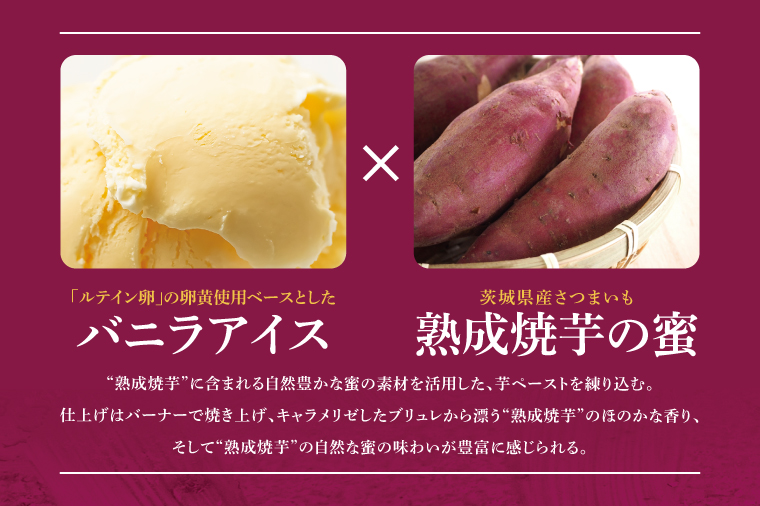 熟成焼き芋×ブリュレアイス 6個入【焼芋 ブリュレ スイーツ クリーム アイス さつまいも おやつ 手土産 お取り寄せ ギフト グルメ 贈答 茨城県 水戸市】（NB-1)