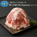 【ふるさと納税】豚肉 切り落とし 約 2kg 小分け こま切れ 真空パック 新鮮 産地直送 プレミアムポーク 豚 自社農場 自社加工 熊本県 天草市 柔らか あっさり 食品 お取り寄せ お取り寄せグルメ 送料無料