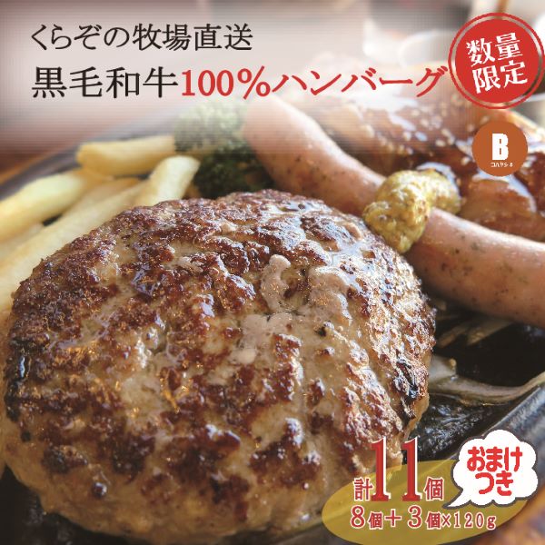 黒毛和牛100％ハンバーグ 計11個