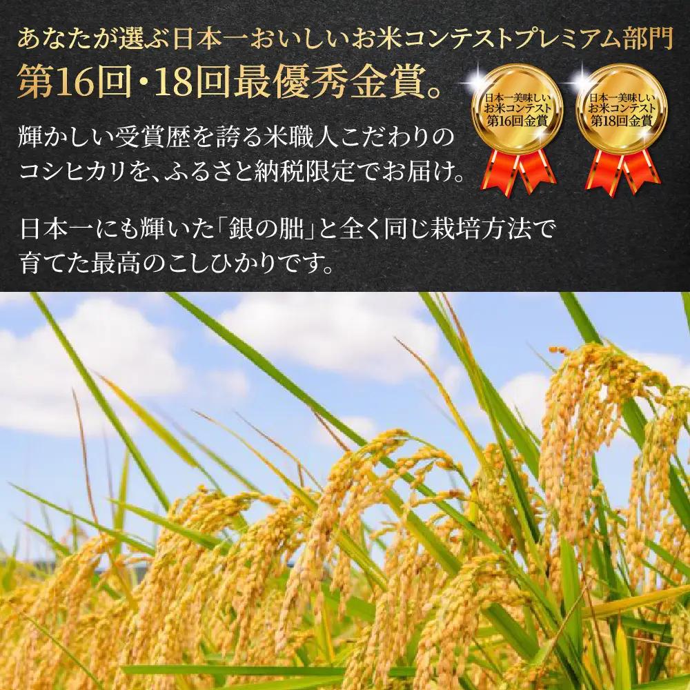即納≪7営業日以内に発送≫【2025年産米】こしひかり 雅の舞 3kg ≪ふるさと納税限定≫【119-6】