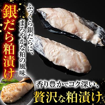 ふるさと納税 根室市 <計16切>銀だら粕漬け8切、銀だら西京漬け8切 A-11110 |  | 02