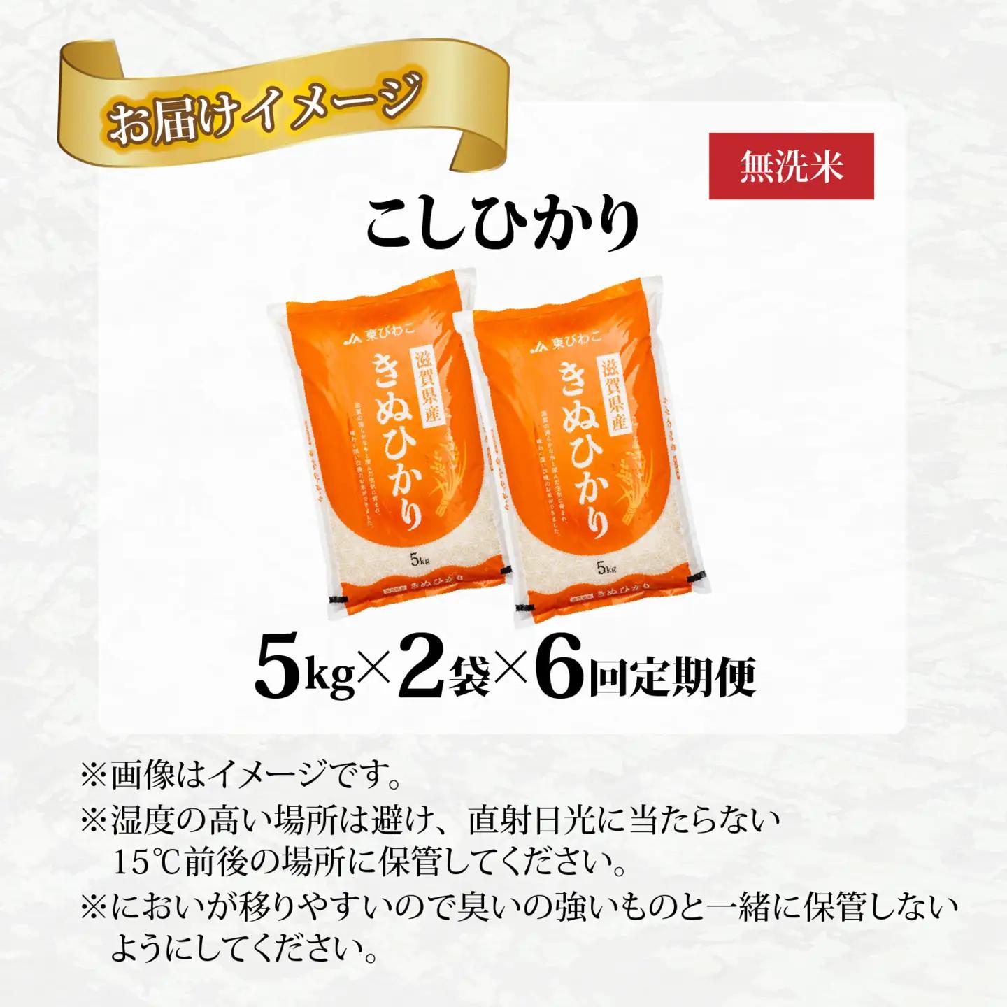 【先行予約】【令和8年産新米早期予約 毎月定期配送・計6回】 キヌヒカリ10kg×6回　おいしい多賀のお米 [J-00401] / 白米