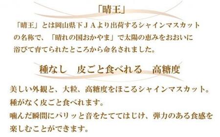 ぶどう 2024年 先行予約  シャインマスカット 晴王 約700g×1房 ブドウ 葡萄  岡山県産 国産 フルーツ 果物 ギフト[No.5220-1266]