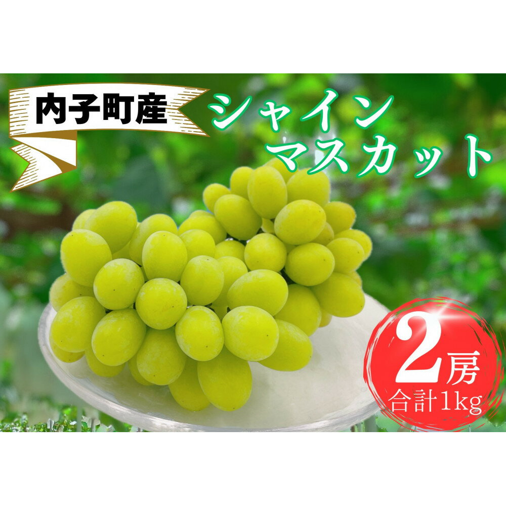 【ふるさと納税】内子町産　シャインマスカット　秀品　2房　1.0kg