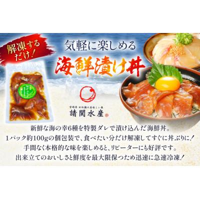 ふるさと納税 日向市 海鮮丼 6種 計600g(100g×6パック)贅沢食べ比べ |  | 02