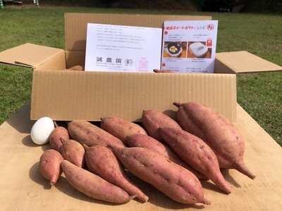 種子島 産 オーガニック (有機) 種子島安納いも (誠農園) 5kg　NFN537 【425pt】 // オーガニック 有機 安納いも 安納芋 有機栽培 さつまいも オーガニック 有機 安納いも 安