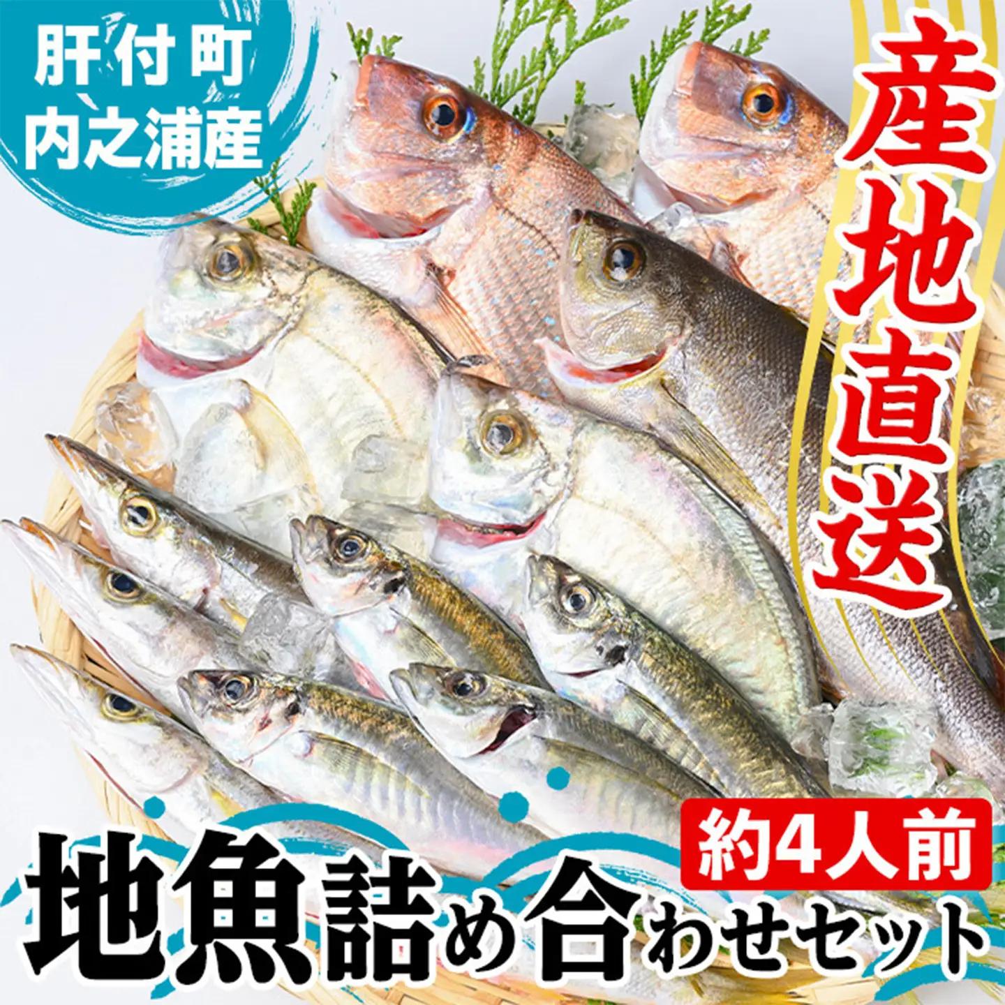 鮮魚ボックス 鮮魚BOX 地魚 詰め合わせ 約4人分 産地直送【マルケイ水産】A09002