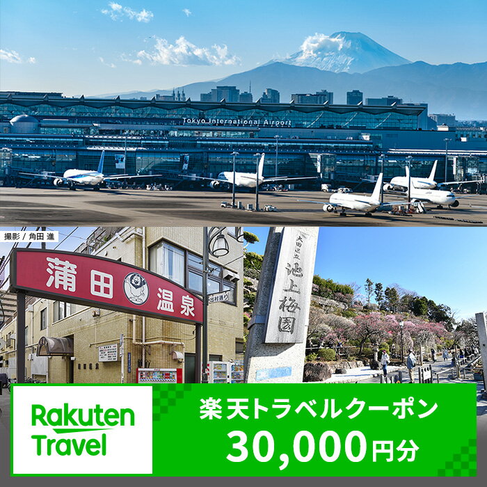 【ふるさと納税】東京都大田区の対象施設で使える 楽天トラベルクーポン 寄附額100,000円（30,000円クーポン)　東京都 宿泊 宿泊券 ホテル 旅館 旅行 旅行券 観光 トラベル チケット 旅 宿 券