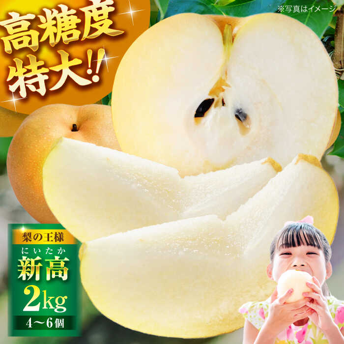 【ふるさと納税】【先行予約】【10月上旬から順次発送】「梨の王様」特大新高 梨2kg（4個から6個入り） | 人気 おすすめ ランキング おいしい 甘い 大洲市/幸野観光なし園[AGBD001] 10000 10000円 以上