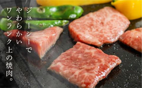 【冷凍】飛騨牛本日の希少部位・ランプ焼肉セット 各450g【11-26】