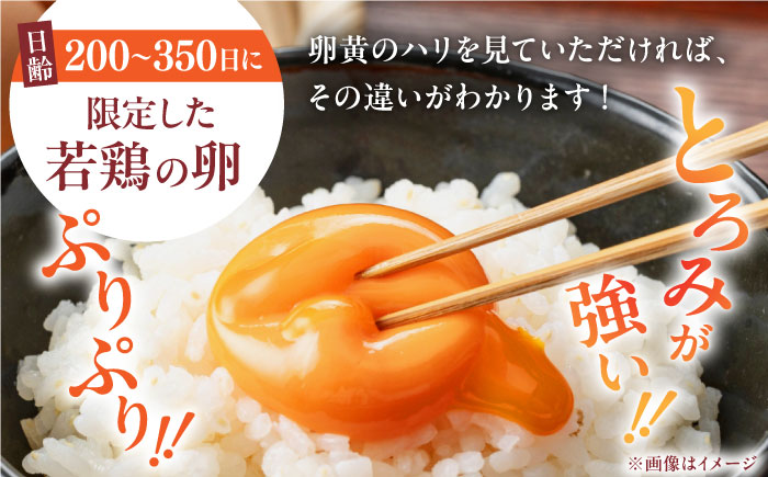 【全6回定期便】熊本県産 熊本そだち 60個入り ( 10個入り × 6パック ) 山都町 たまご 卵【蘇陽農場】 [YBE035]