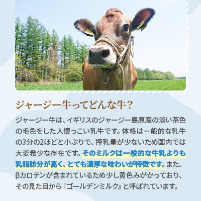 【毎月定期便】【十勝高田牧場】十勝搾りたてジャージー牛乳 750ml×6本セット全3回【配送不可地域：離島】