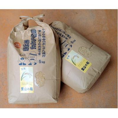 ふるさと納税 山添村 【令和7年産】里山の粒 玄米 10kg(5kg×2袋) ひがしとよ里山米