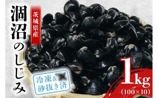 
            涸沼産 冷凍しじみ 大粒 1kg（100g×10p）【石岡市・水戸市共通返礼品】 しじみ シジミ 蜆 国産 小分け 砂抜き不要 冷凍 冷凍保存 海鮮 貝 魚貝類 魚介類 魚貝 魚介 味噌汁 みそ汁 酒蒸し おつまみ しじみ汁 C10-002
          