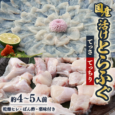 ふぐ鍋セット　国産活けとらふぐてっさ・てっちりセット約4～5人前　ヒレ付き【配送不可エリア注意】【配送不可地域：離島・北海道・沖縄・東北・関東・九州】【1517411】