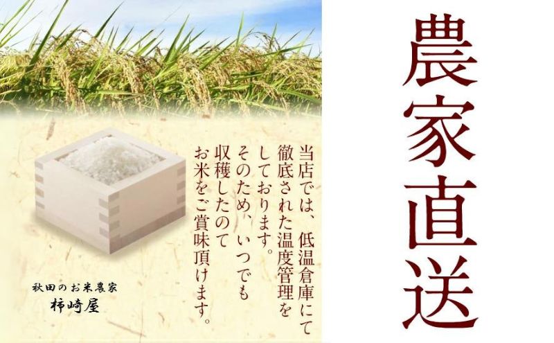 【白米】秋田県産 あきたこまち 10kg お米専門農家だからできる こだわりの産地直送米 令和6年産