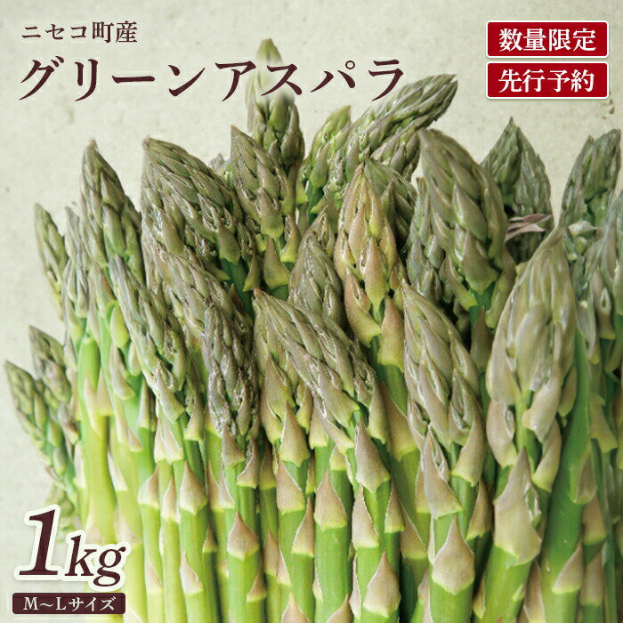【ふるさと納税】【数量限定】【北海道ニセコ町産】グリーンアスパラM/L混みサイズ1kg＜2026年予約・5月中旬より出荷予定＞| グリーンアスパラ 1kg Mサイズ Lサイズ 混合 ニセコ町産 アスパラ ニセコ町 ニセコ 野菜 採れたて 北海道 冷蔵発送朝採り 新鮮 旬【0202702】