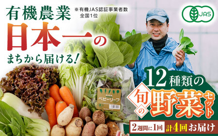 【全4回隔週定期便】有機野菜 オーガニック 12種セット 野菜 有機JAS認定 詰め合わせ オーガニック野菜 熊本県産 山都町産 産地直送 熊本直送 【株式会社 肥後やまと】[YAF016]