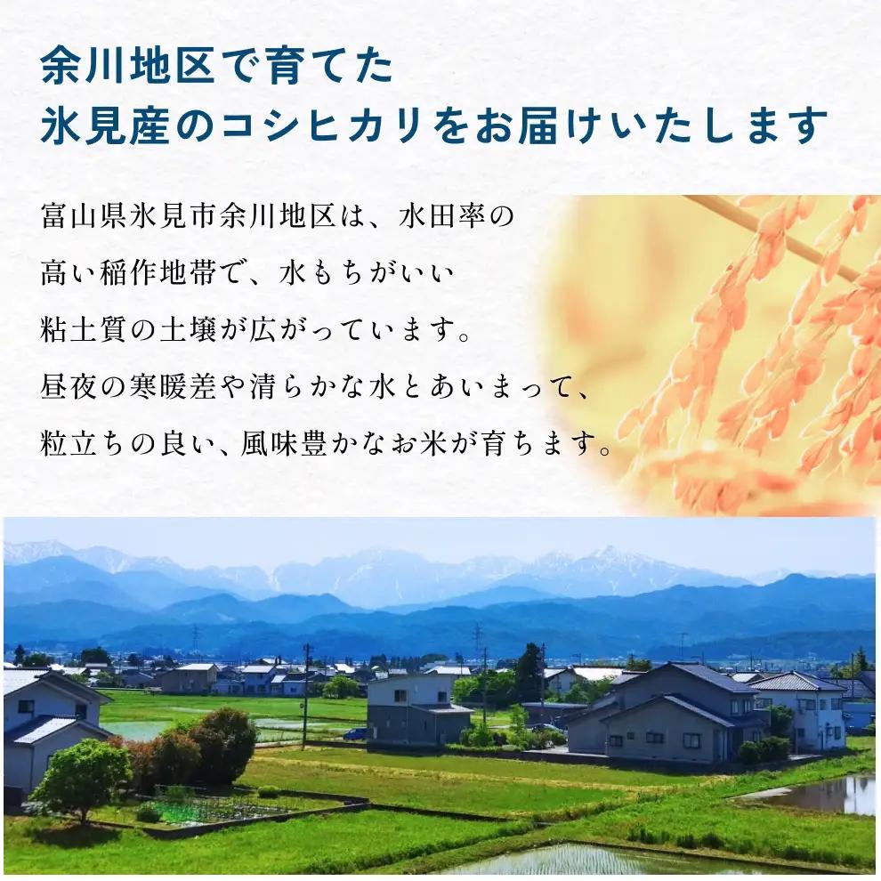 【3回定期便】富山県産 コシヒカリ 5kg 