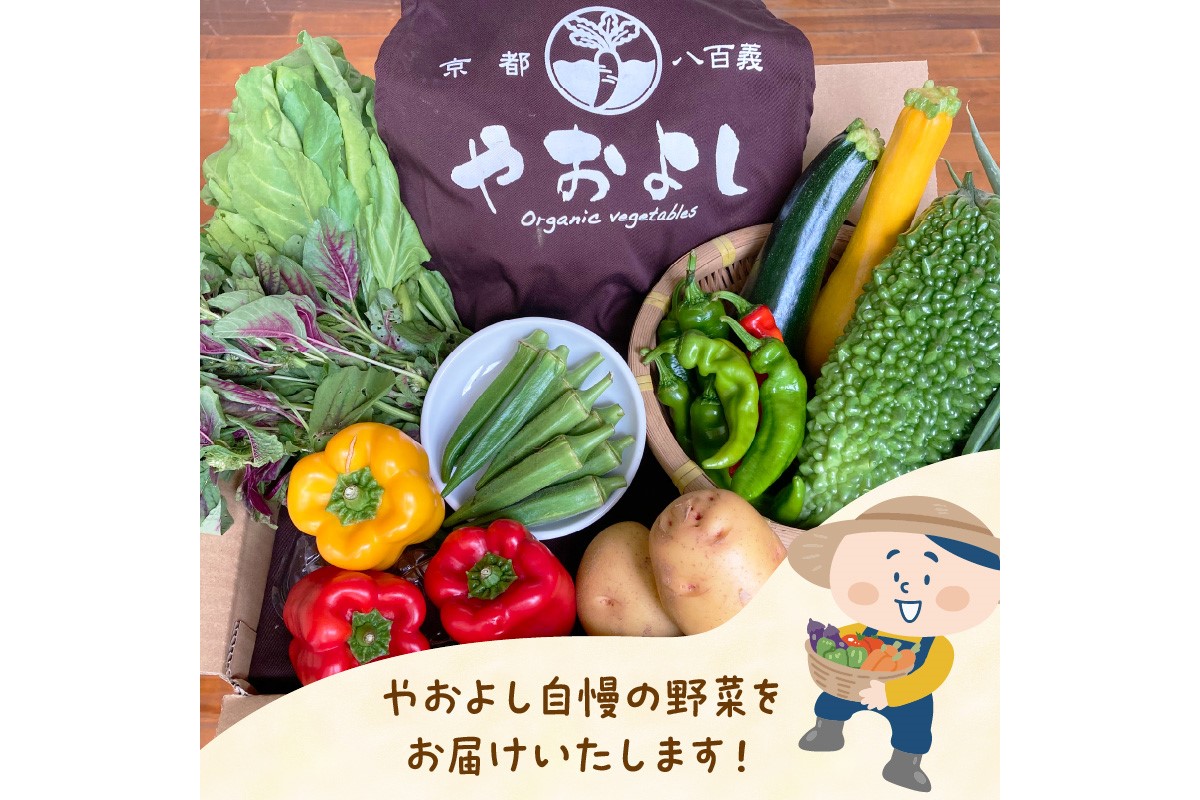 【定期便】合計6回お届け　有機野菜・京野菜の『京都やおよし』の京丹後・亀岡市お野菜＆九条ねぎ＆お米2kg（丹後コシヒカリ特別栽培米）詰め合わせ　AA00008